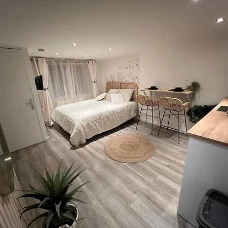 Le Zenith Vieille D'annecy Apartment