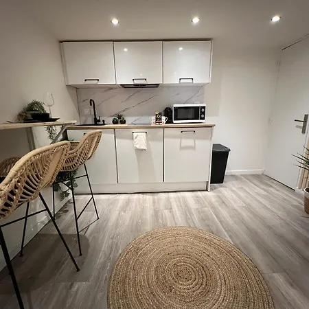 Le Zenith Vieille D'annecy Apartment Annecy