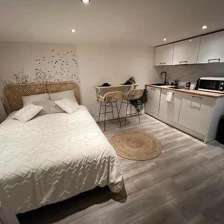 Apartment Le Zenith Vieille D'annecy *